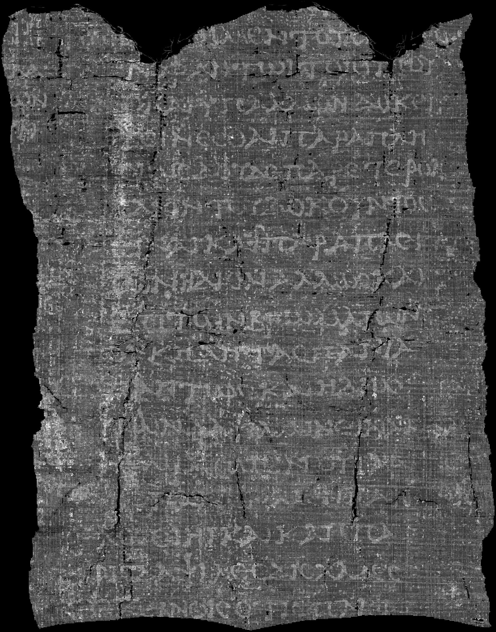 Scroll 1 — Ink prediction overlaid on the 3D papyrus surface (2.4µm)