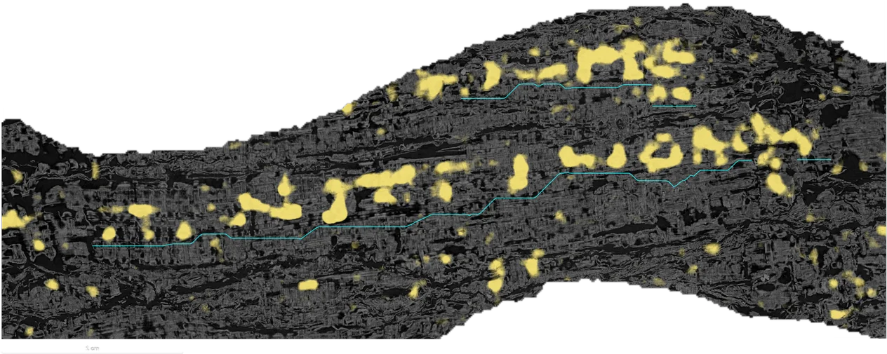 Ink detected in PHerc. 343 by Erwin Nieuwlaar, shown in yellow over the dimmed CT