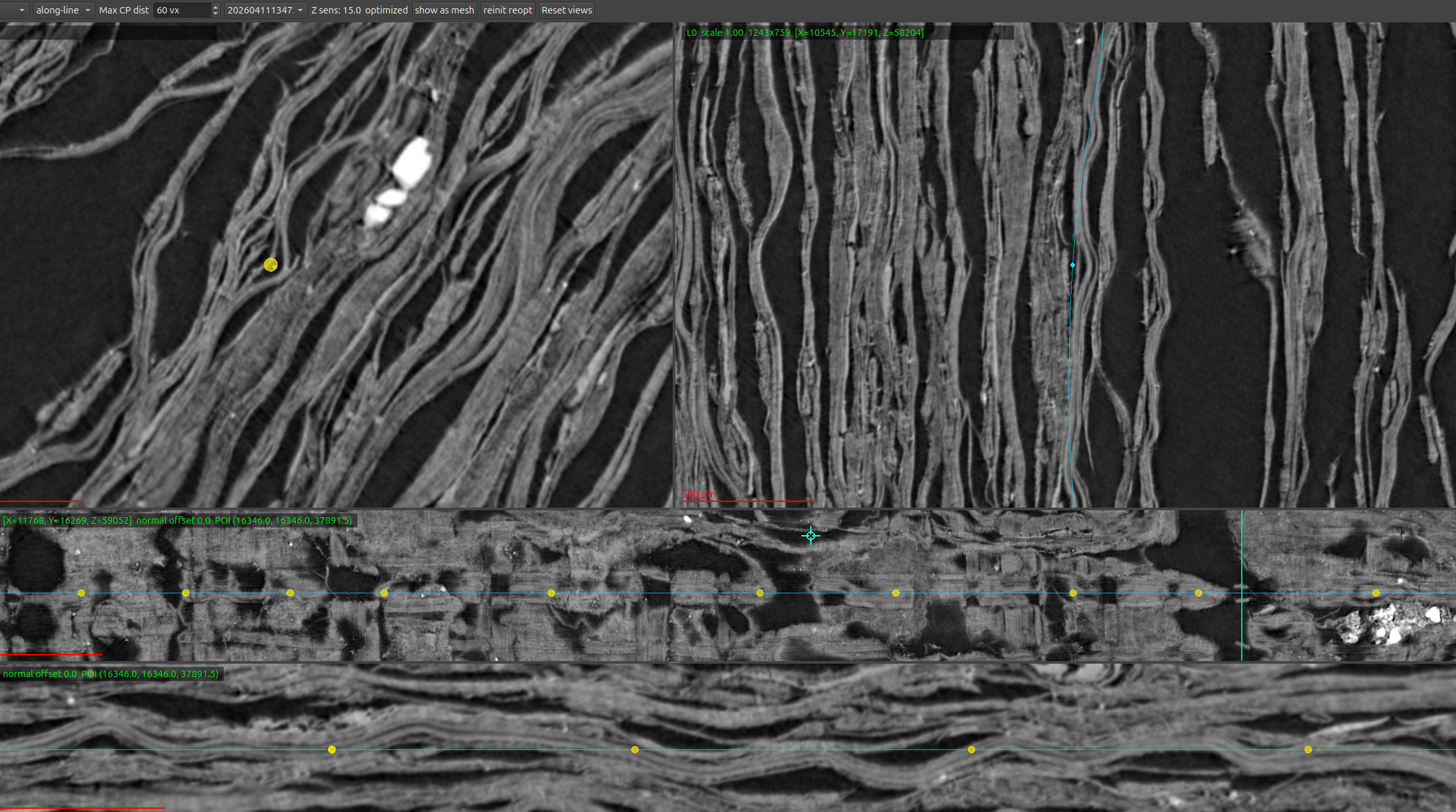 VC3D fiber annotation workspace with a traced fiber and control points