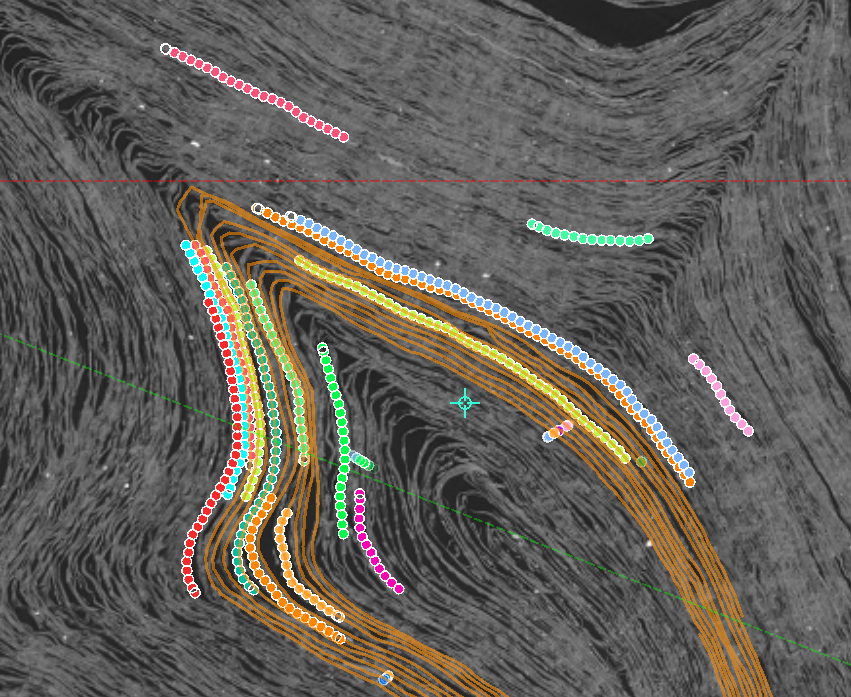 Colored same-winding point collections in a tightly curved scroll region
