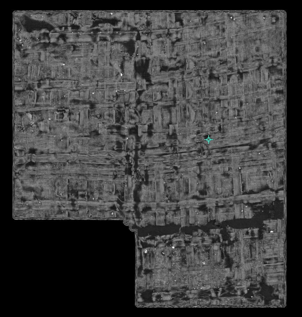 A local papyrus surface patch rendered from CT data
